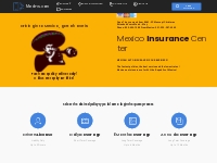 Mexico Trip Insurance Center - Automobile Insurance