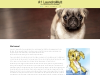 A1 Laundro Mutt - Full Service Dog   Cat Grooming