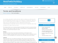 Terms and Conditions - AestheticHoliday