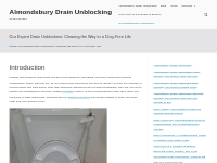 Our Expert Drain Unblockers: Clearing the Way to a Clog-Free Life   Al