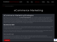 eCommerce Marketing Strategies From AndrewNightingale.com