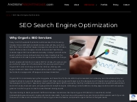 Search Engine Optimization | SEO Services From AndrewNightingale.com