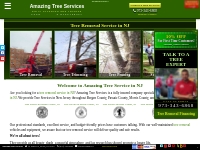 Tree Removal Service in NJ