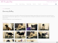 Grooming Gallery - AV Purrfect Pets