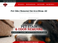Pet Odor Removal Mesa AZ | Pet Urine and Odor Clean Up