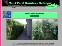 Backyard Bamboo Orlando *** Bamboo Plants ****