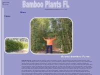 Bamboo Plants Fl? * Bamboo Nursery * 407-777-4807