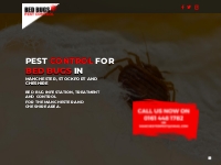 Home - Bed Bug Control Manchester