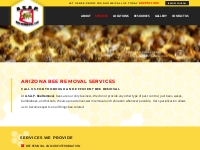 Phoenix Bee Hive   Honeycomb Removal, Cost-Effective Wasp Removal   Li