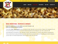 Arizona Emergency Bees Removal, Bee Hive   Wasp Nest Removal Experts, 