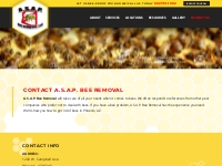 Emergency Bee   Wasp Removal Phoenix AZ, Local Expert Honey Bees Exter