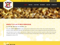Residential Africanized Killer Bee Removal Phoenix AZ, Commercial Bees