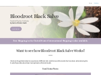 Galleries | FrankinThyme Bloodroot Black Salves