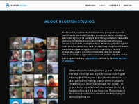 About Bluefish Studios   bluefish studios