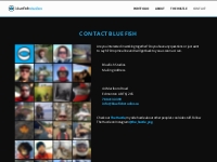 Contact Bluefish   bluefish studios