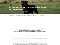 Important Puppy Adoption Information - Wolfcrests Natural Born Bobtail