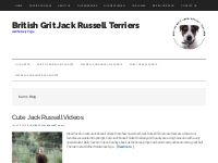 Sam s Blog| British Grit Jack Russell Terriers