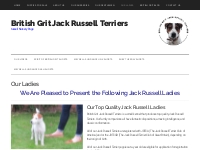 Our Ladies | We Have Top Quality Jack Russells