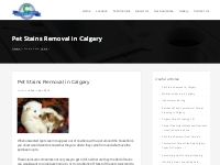 Pet Stains Removal in Calgary   Certified Carpet Cleaning in Calgary, 