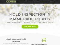 Mold Inspection in Miami   Dade County | Core Q Mold Analysis