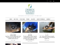 Gallery | Deben Valley Fisheries | Suppliers of the finest quality spe