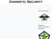 Blog   Domestic Security