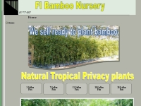 Fl Bamboo Nursery 