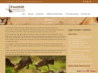 About Us - Foothill Wild Expeditions Ltd.