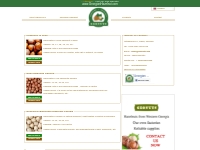 Georgian Hazelnut Company Products
