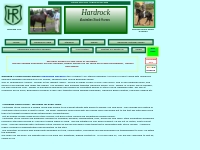  1. Hardrock Australian Stock Horses, registered breeders with horses 
