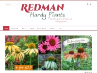 Redman Hardy Plants - Redman Hardy Plants - An online catalogue of Har