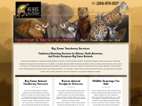 Big Game Taxidermy Services of African, North American,   European Tax