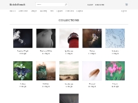 Michelle Wermuth - Artist Website - Collections