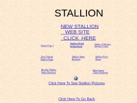 Stallionn