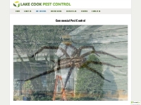 Commercial Pest Control Services - Lake Cook Pest Control - Office   B