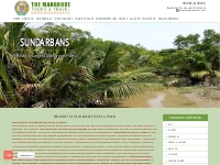 Welcome to The Mangrove Tours & Travel