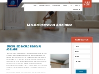 Mould Removal Adelaide | Master Class Cleaning
