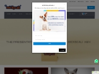 Mickscali - Lowest Price Online Pet Store India: Pet Food   Accessorie