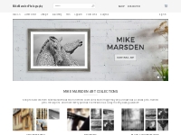 Mike Marsden - Official Website