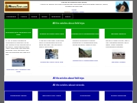 Articles on minerals and fossils