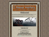 Moser Heifers, Replacement Heifers For Sale, Red and Black