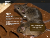 Home - Mouse Control Manchester