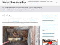 Our Plumbers at Newport Drain Unblocking: Expert Solutions for a Clear