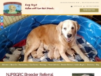 GRCA puppy referral NJ | New Jersey Pine Barrens Golden Retriever Club