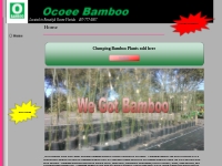 Bamboo****For Sale Orlando   Ocoee****