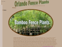 Bamboo Privacy Plants  3 Gallon pots For Sale