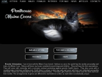 Penthouse Maine Coons Cattery