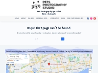 Page not found - Pet Photography Specialist
