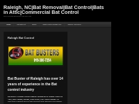 Raleigh, NC|Bat Removal|Bat Control|Bats in Attic|Commercial Bat Contr