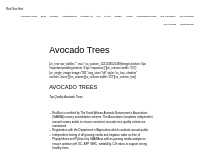 Avocado Trees - Red Sun Hort